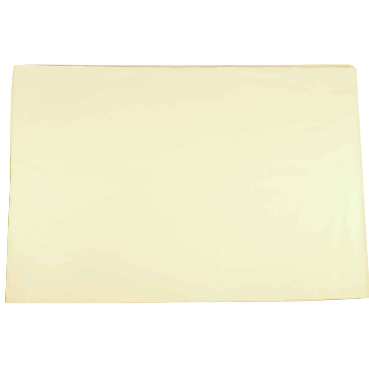 Cream Ivory Tissue Paper