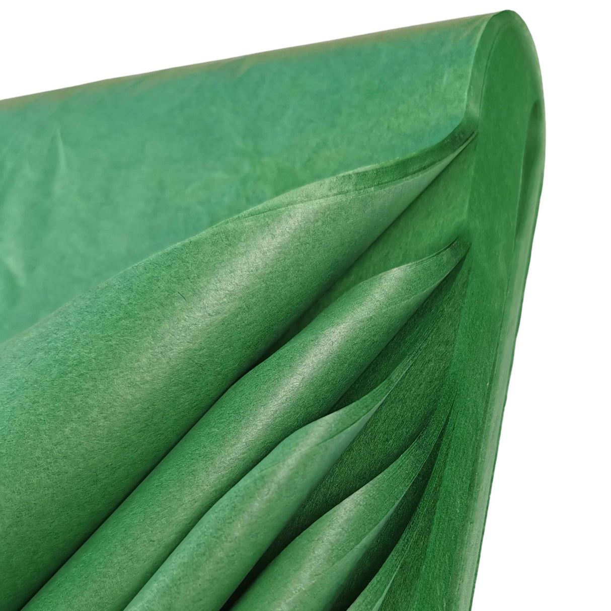 Jade Green Tissue Paper