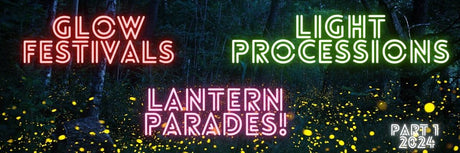 Winter Festivals and Lantern Parades 2024