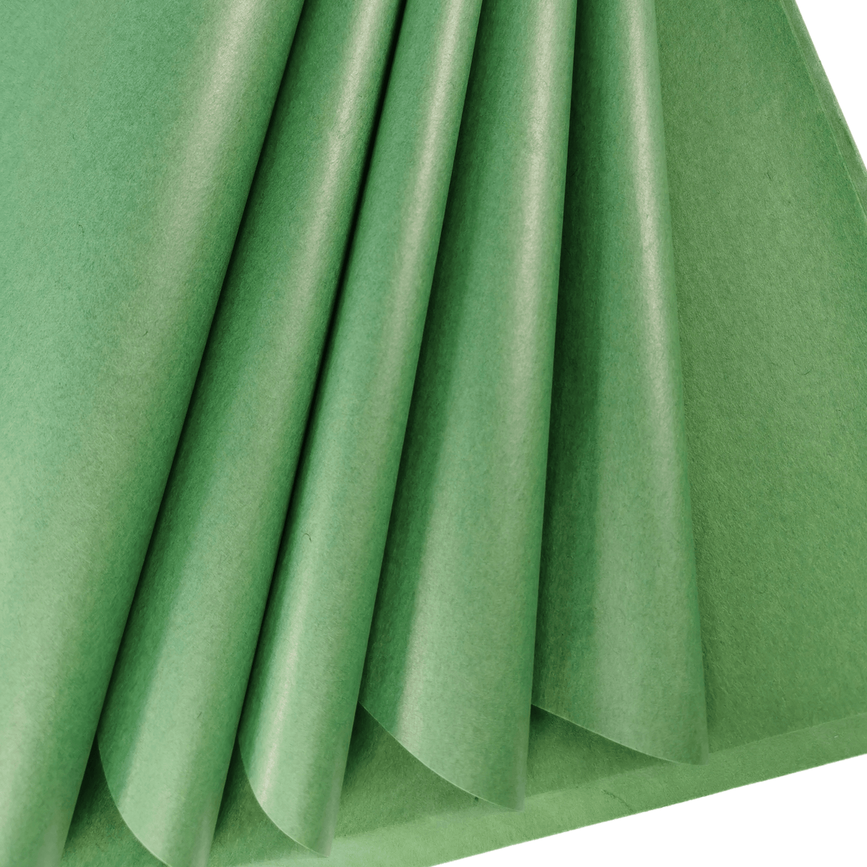 Jade Tissue Paper Folds 4