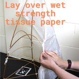 2kg Buff Willow Sticks (Withies)